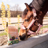 Herballs All Natural Oregano & Mint Horse Treats 4.4 lb.