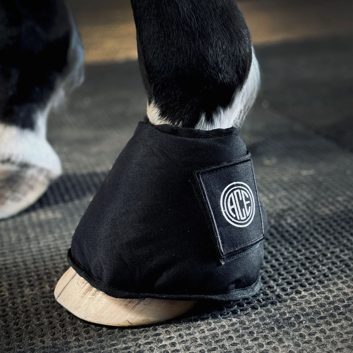 Ace Pro4mance Kold Feet Ice Boots