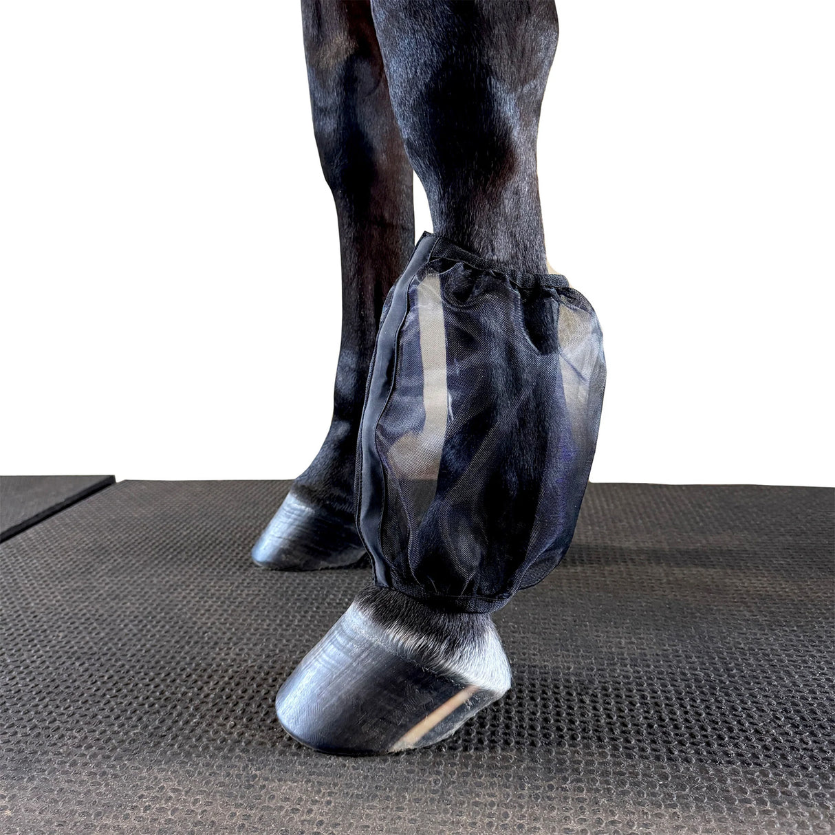 Ace Pro4mance Com4rt Mesh Knee/Pastern Nets