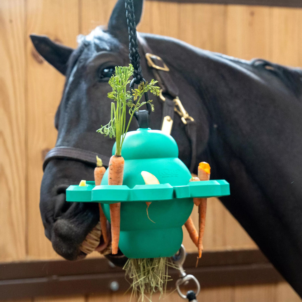 PetKore Equine Clover Ball
