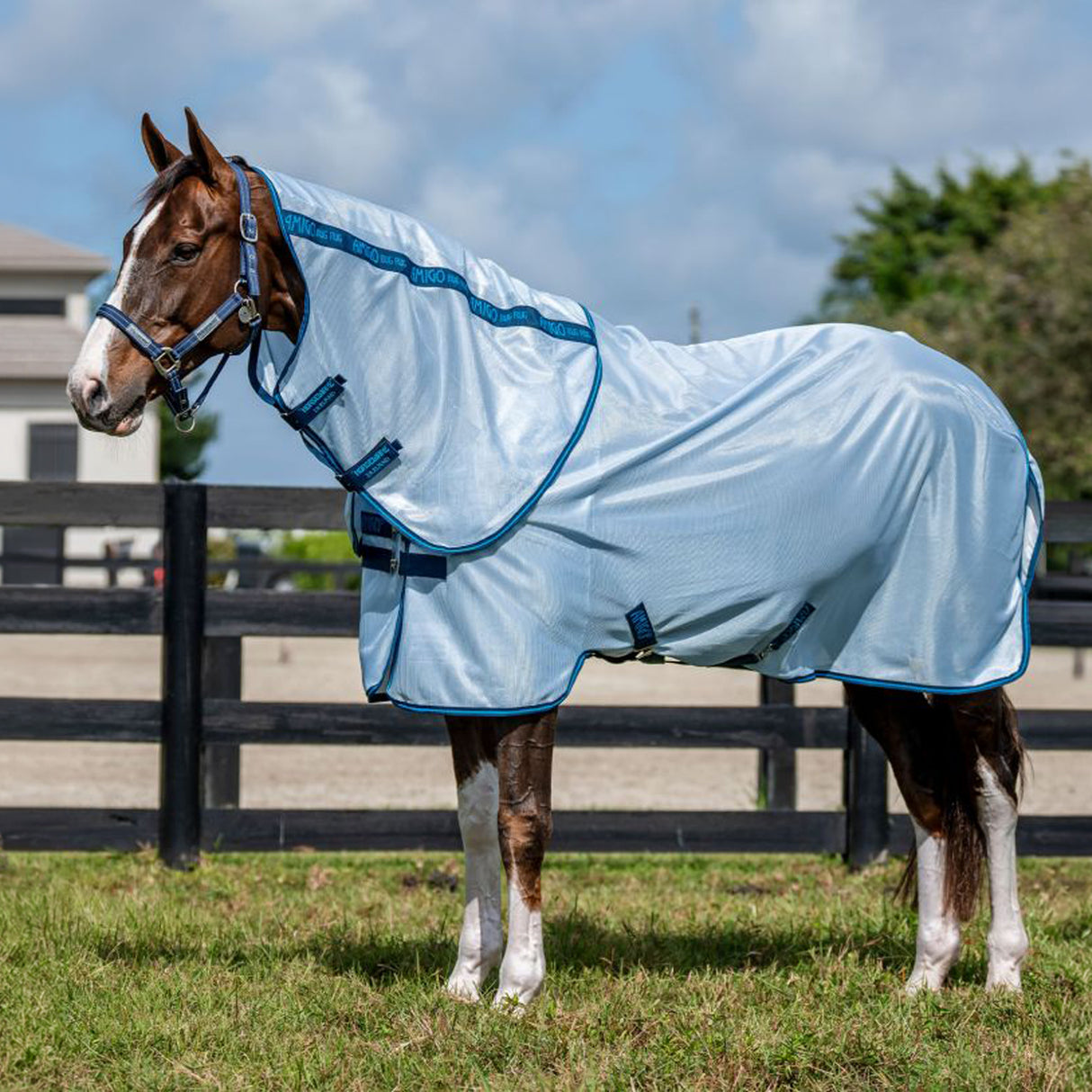 Amigo Bug Rug Plus Fly Sheet