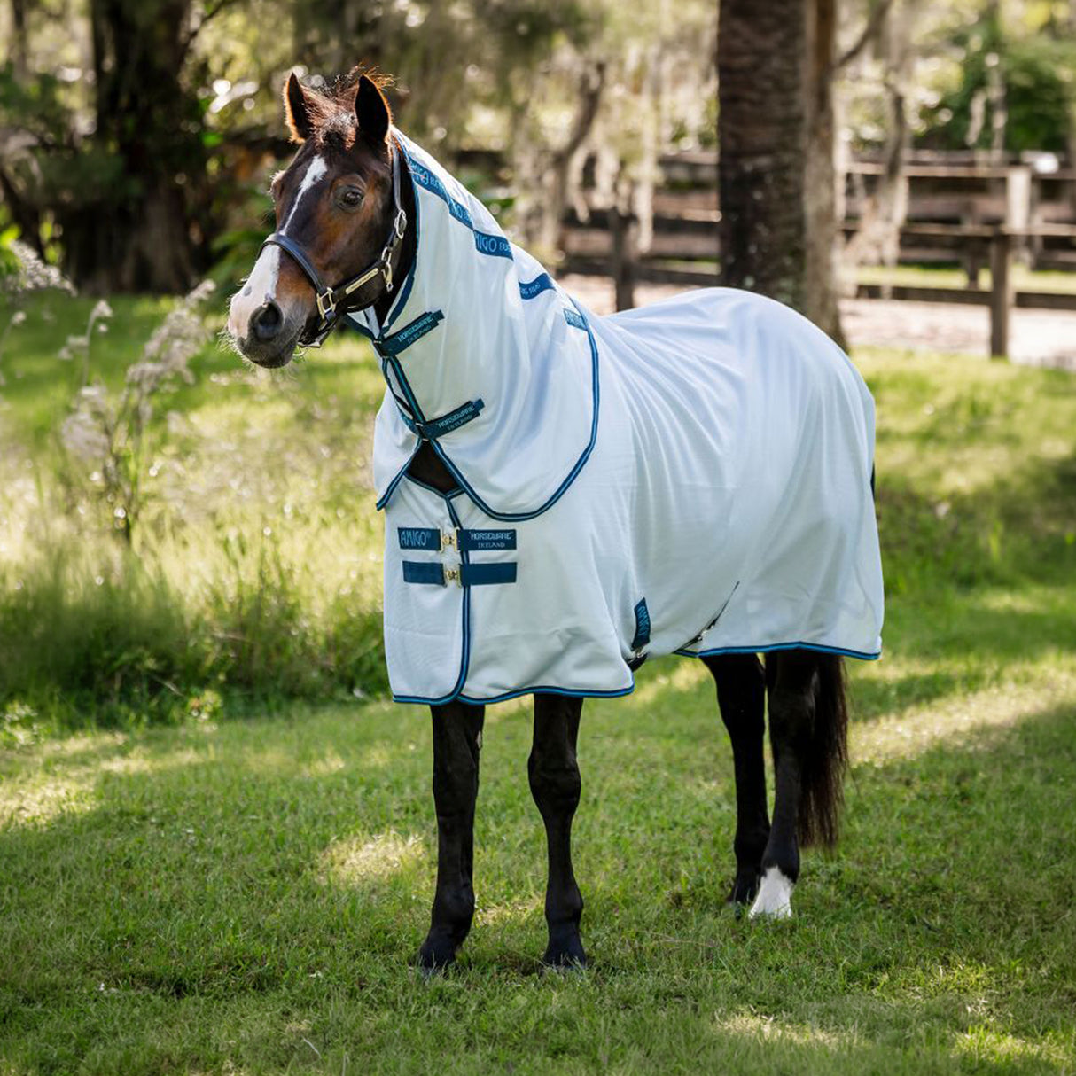 Amigo Bug Rug XL Plus Fly Sheet