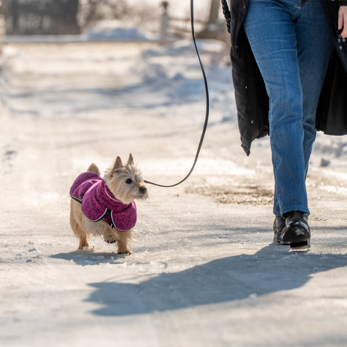 Shedrow K9 Urban Fleece Shacket