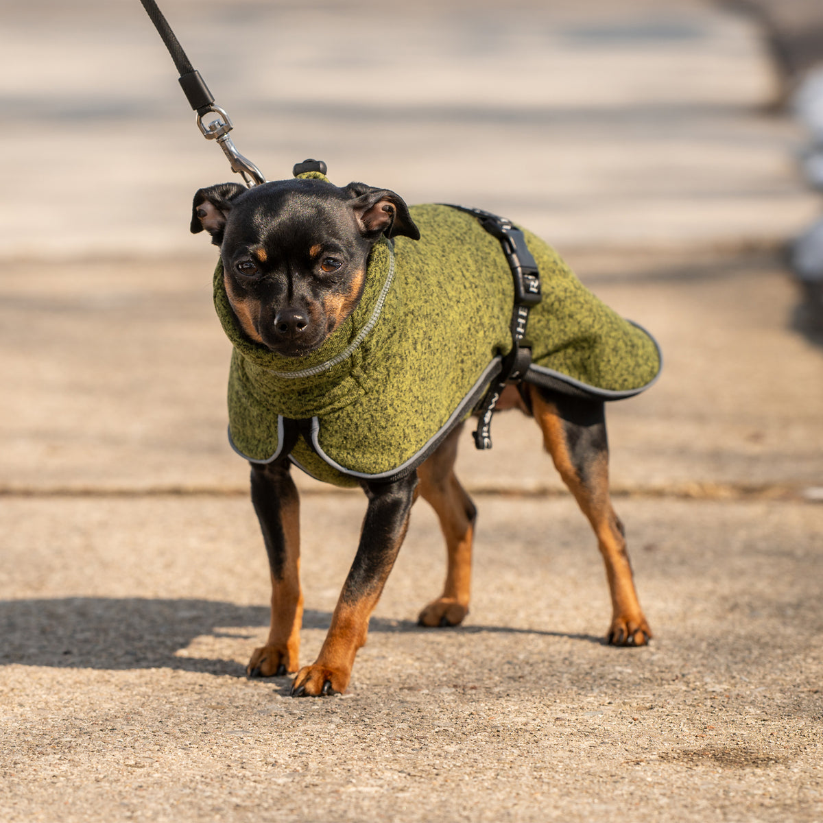 Shedrow K9 Urban Fleece Shacket