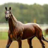 Breyer Traditional Cody's Wish
