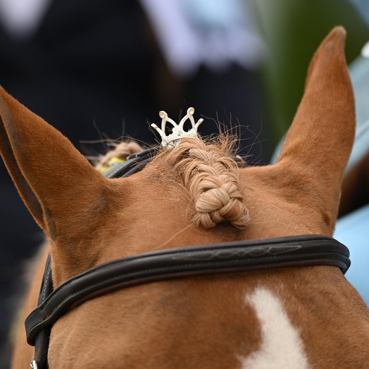 Luxy Charms Pointed Forelock Crown