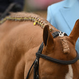 Luxy Charms Pointed Forelock Crown