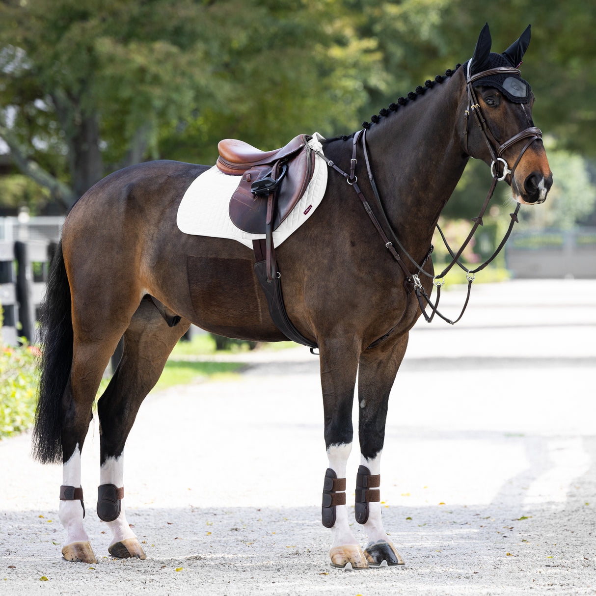 LeMieux ProSorb Plain Two Pocket Close Contact Saddle Pad