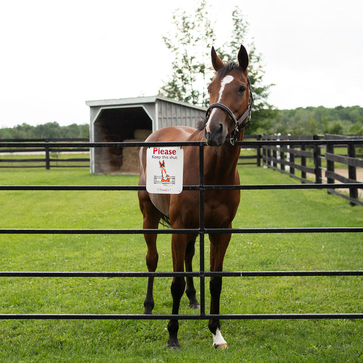 Fergus Sign Fergus Close the Gate Barn Sign – Greenhawk USA