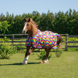 Supra Rainbow Fly Sheet