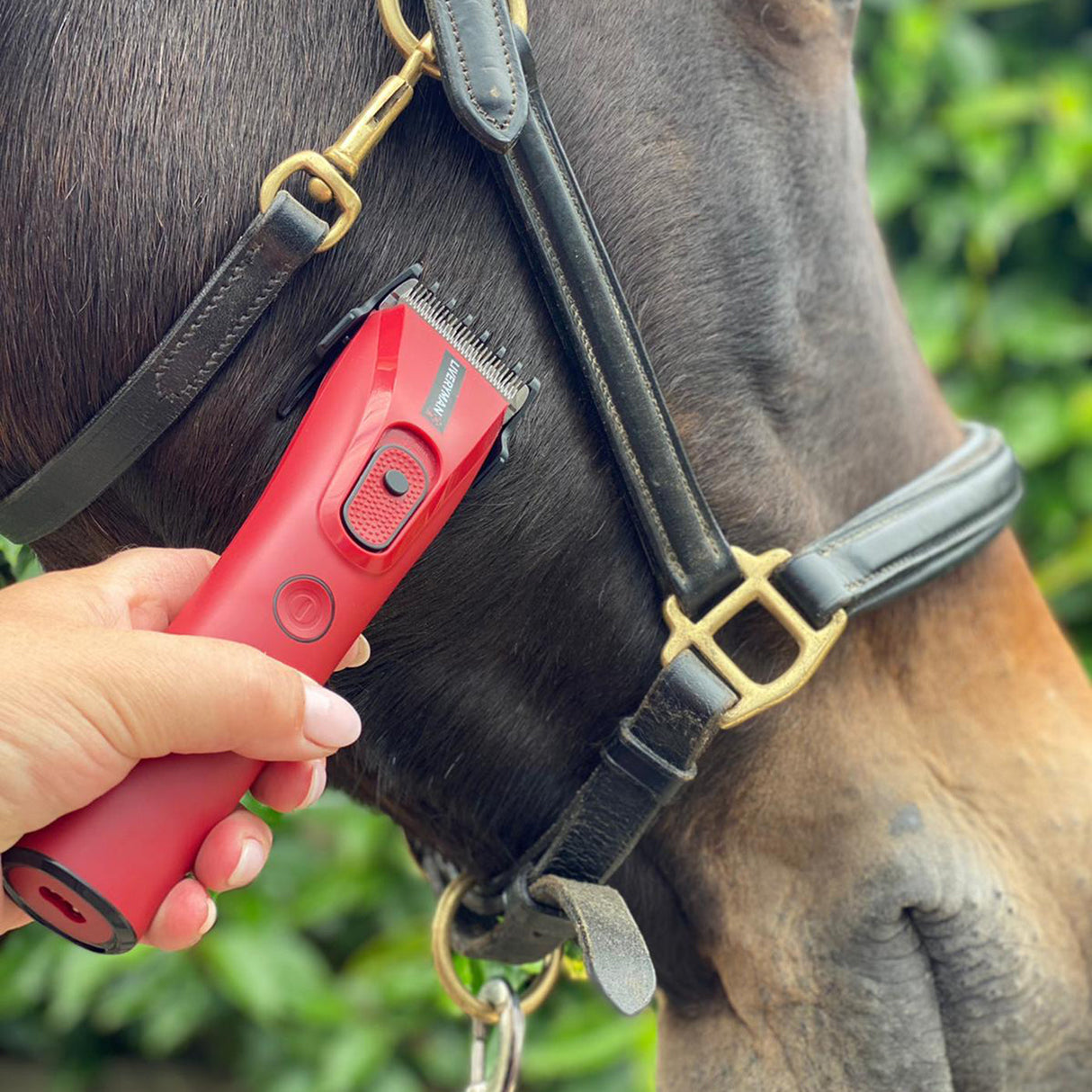 Liveryman Nova Cordless Trimmer