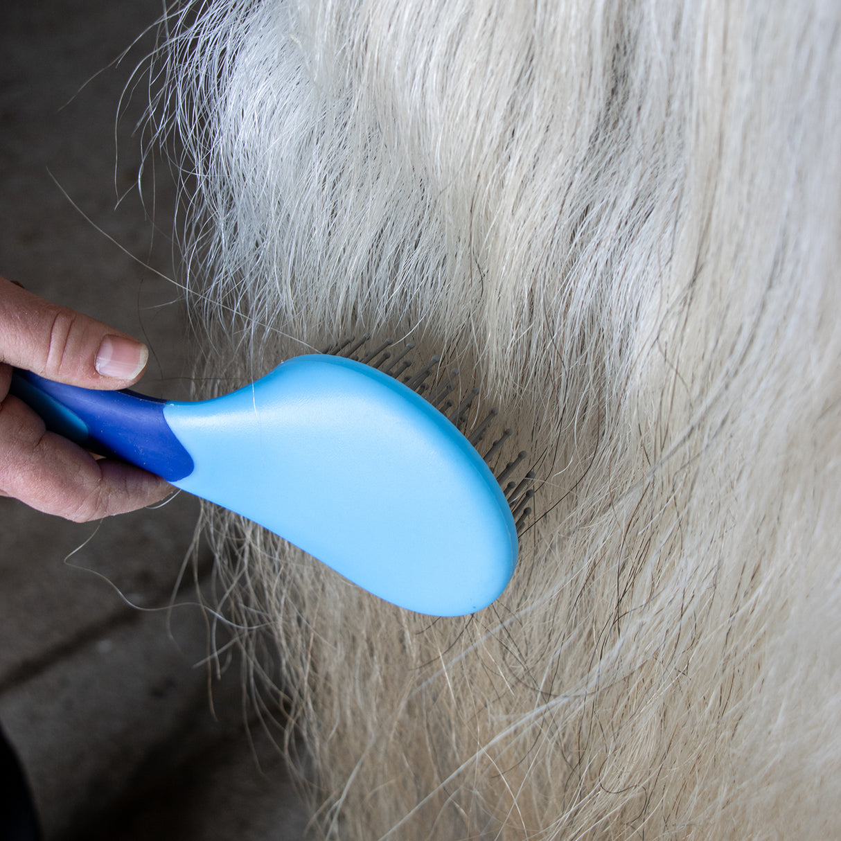 Supra Soft Touch Mane & Tail Brush