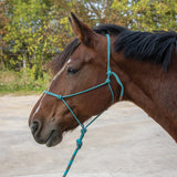 Weaver EcoLuxe Rope Halter W/ 10 ft. Lead