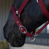 Supra Adjustable Breakaway Halter W/ Leather Crown