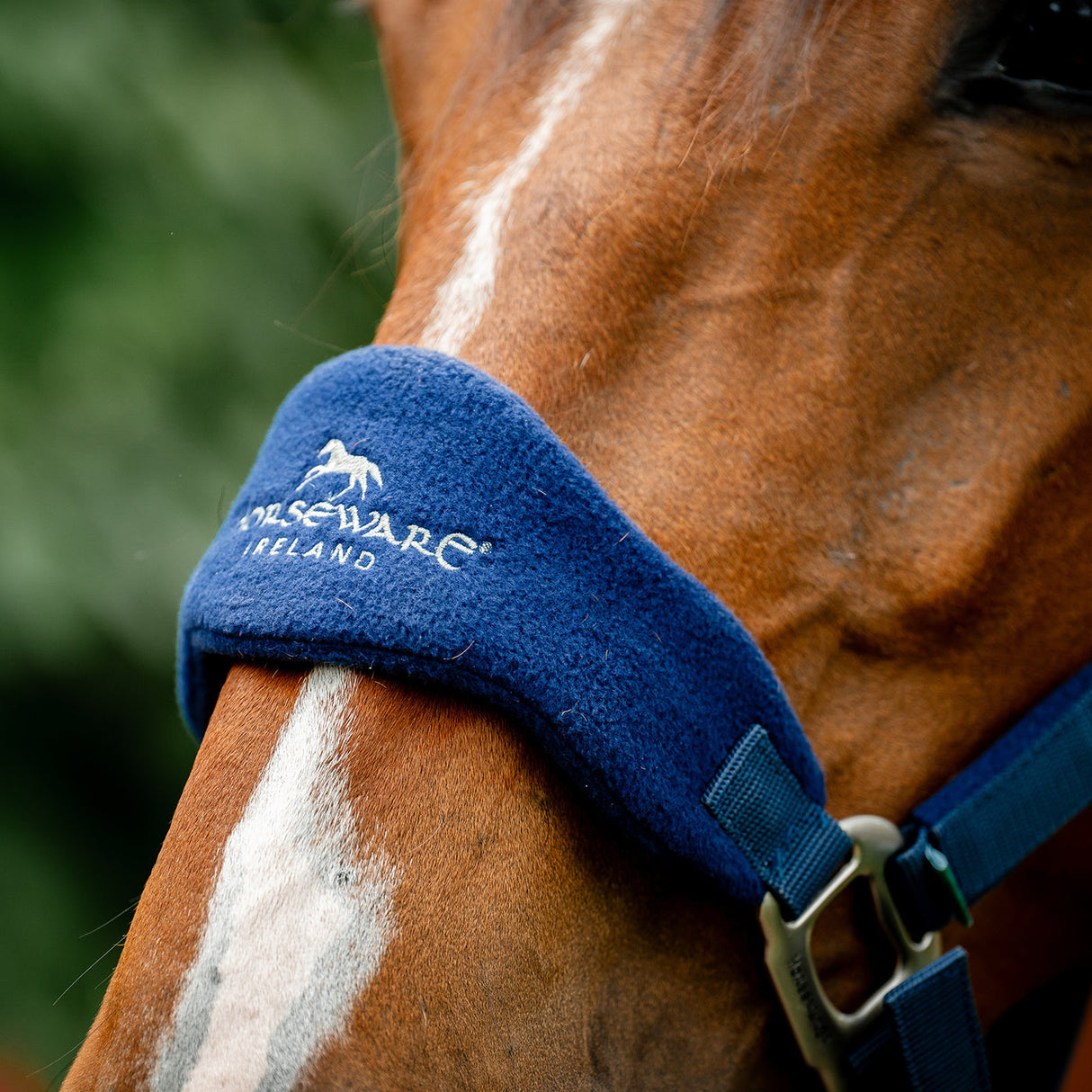 Horseware Signature Grooming Halter
