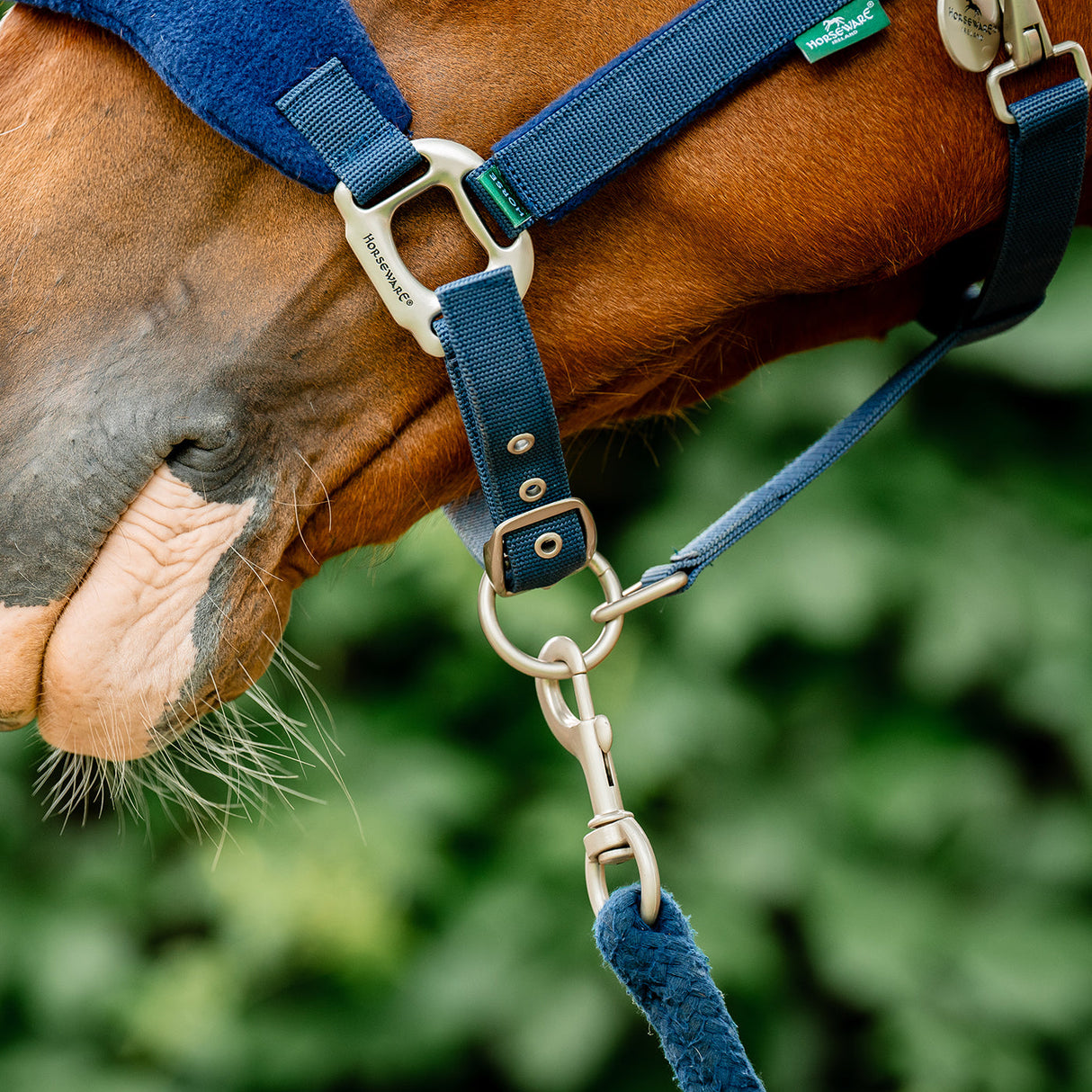 Horseware Signature Grooming Halter