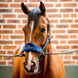Horseware Signature Grooming Halter