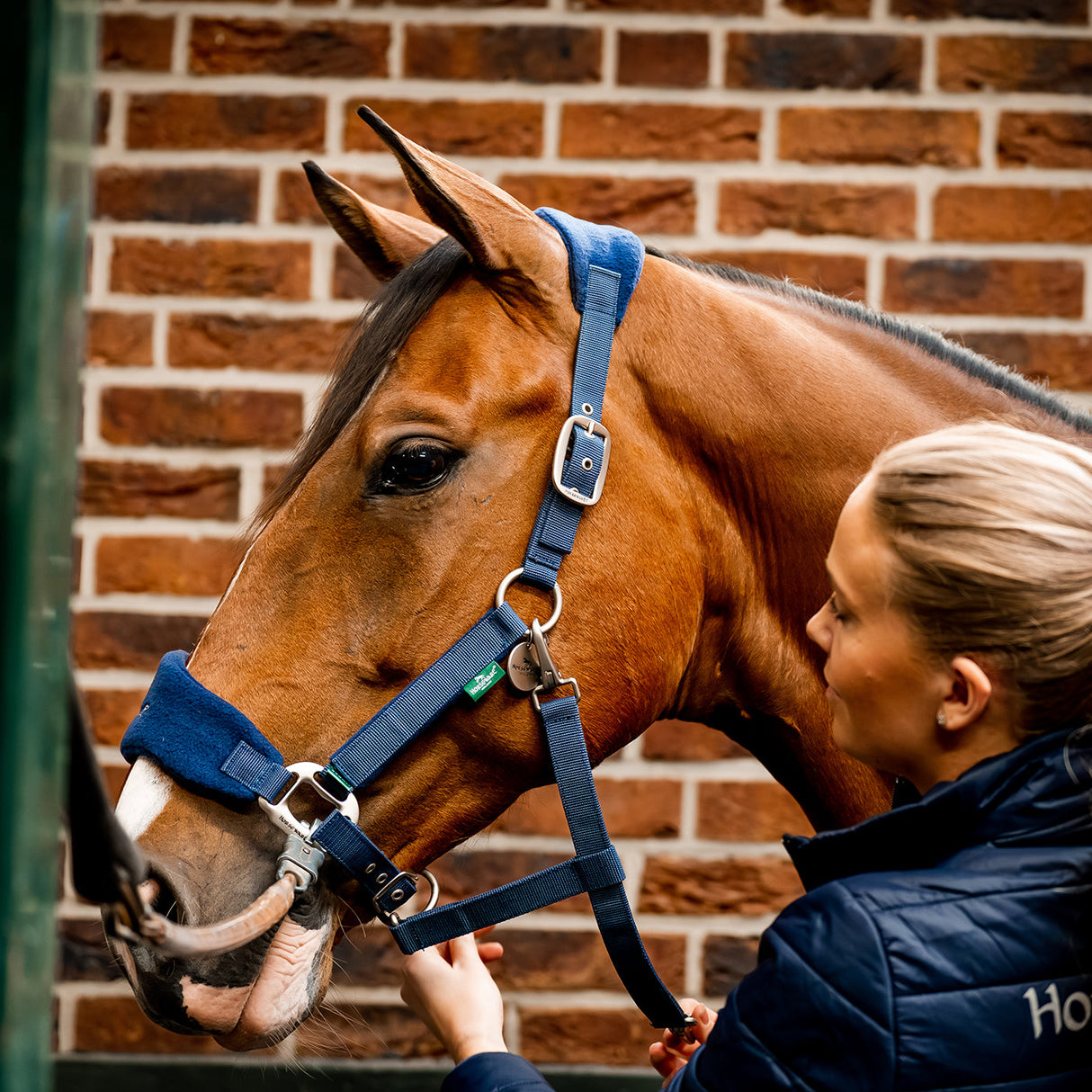 Horseware Signature Grooming Halter
