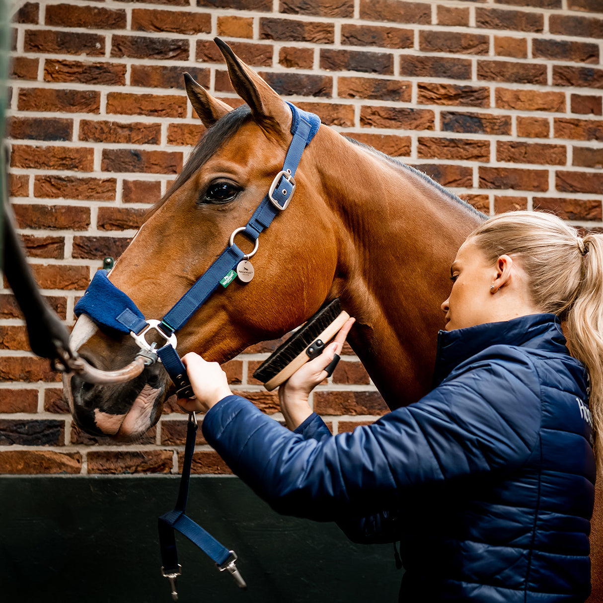 Horseware Signature Grooming Halter