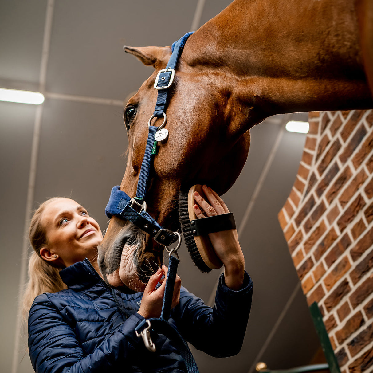 Horseware Signature Grooming Halter