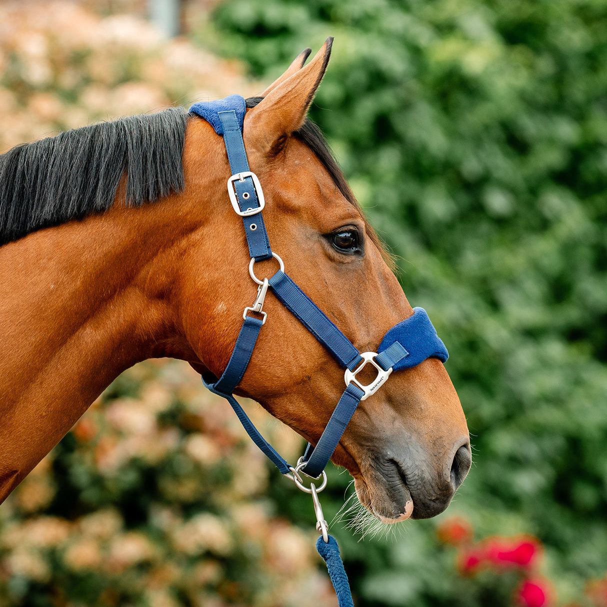 Horseware Signature Grooming Halter
