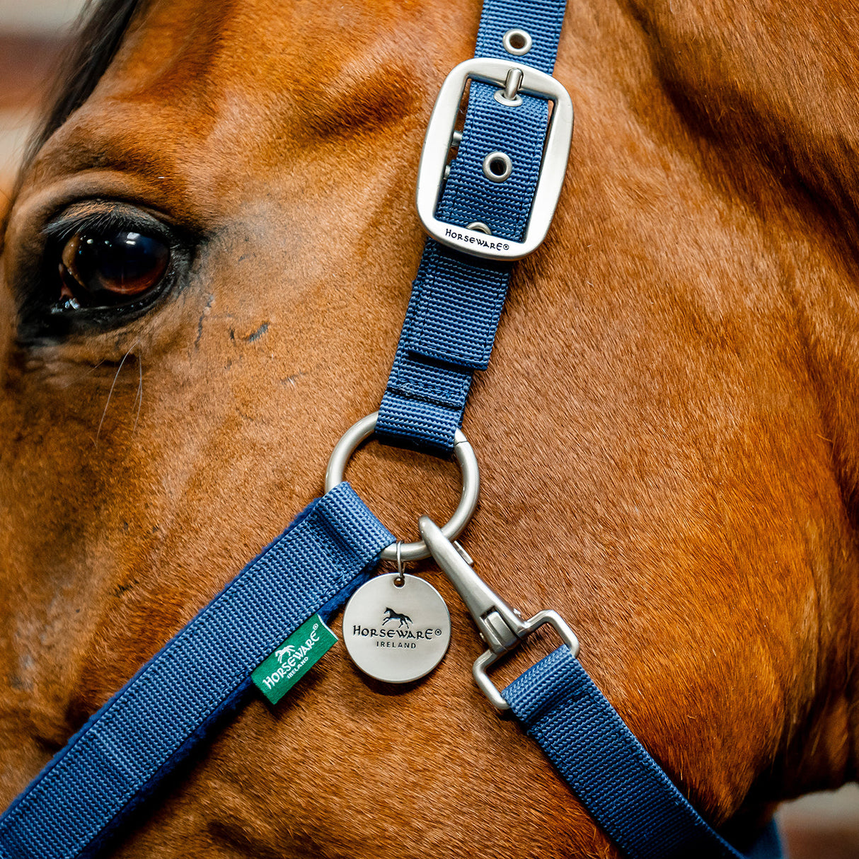 Horseware Signature Grooming Halter