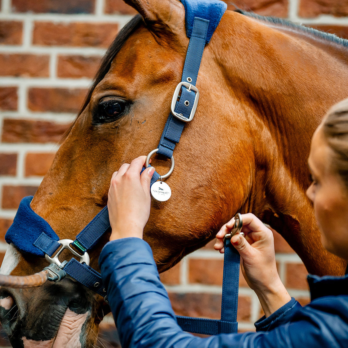 Horseware Signature Grooming Halter