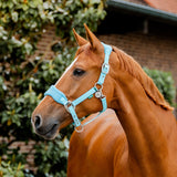 Horseware Signature Grooming Halter