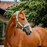 Horseware Signature Grooming Halter