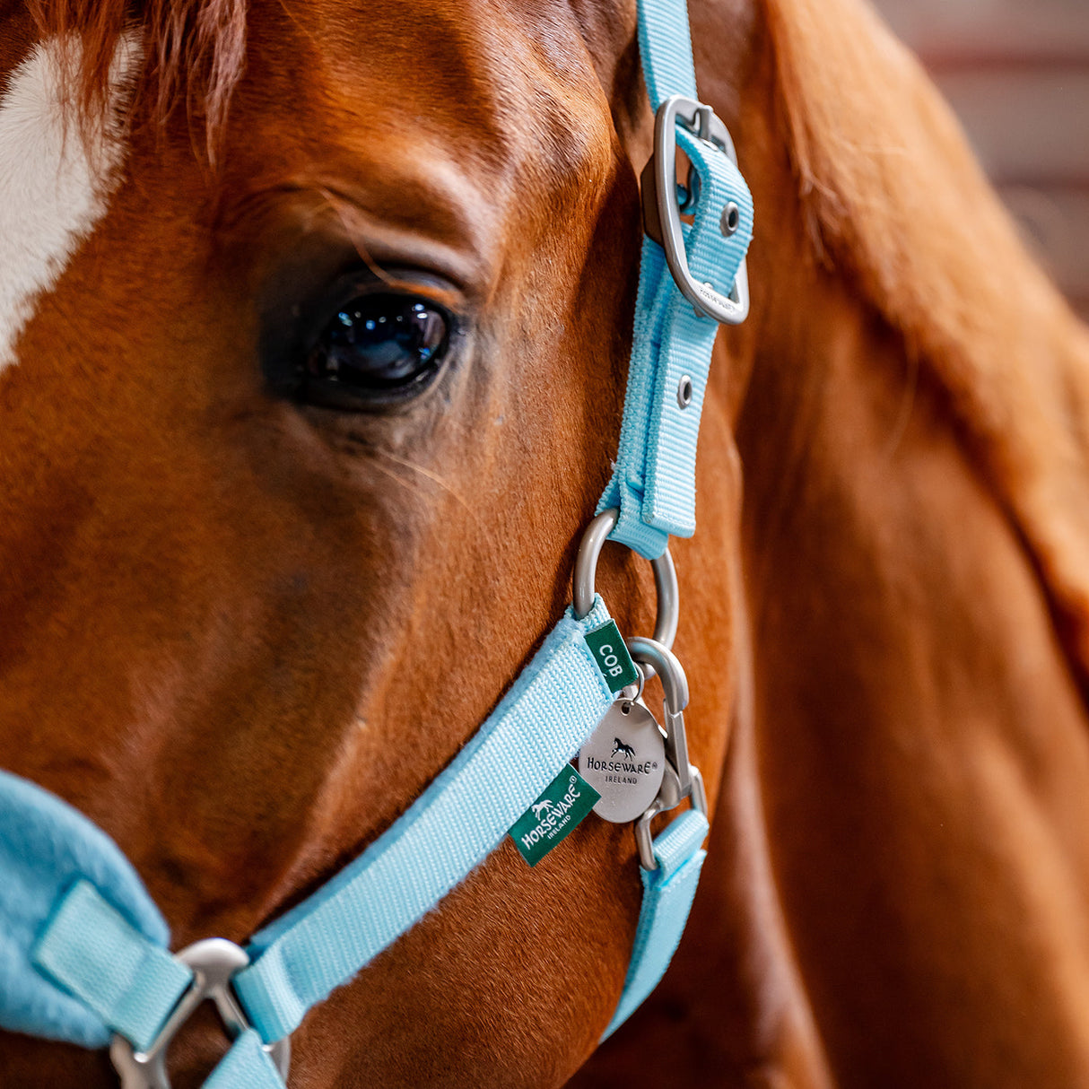 Horseware Signature Grooming Halter