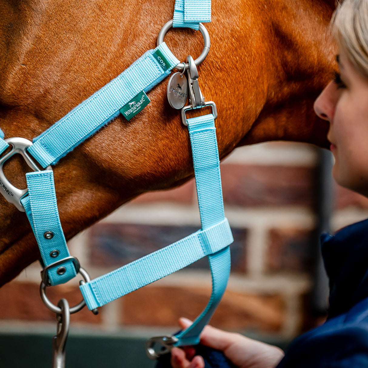 Horseware Signature Grooming Halter
