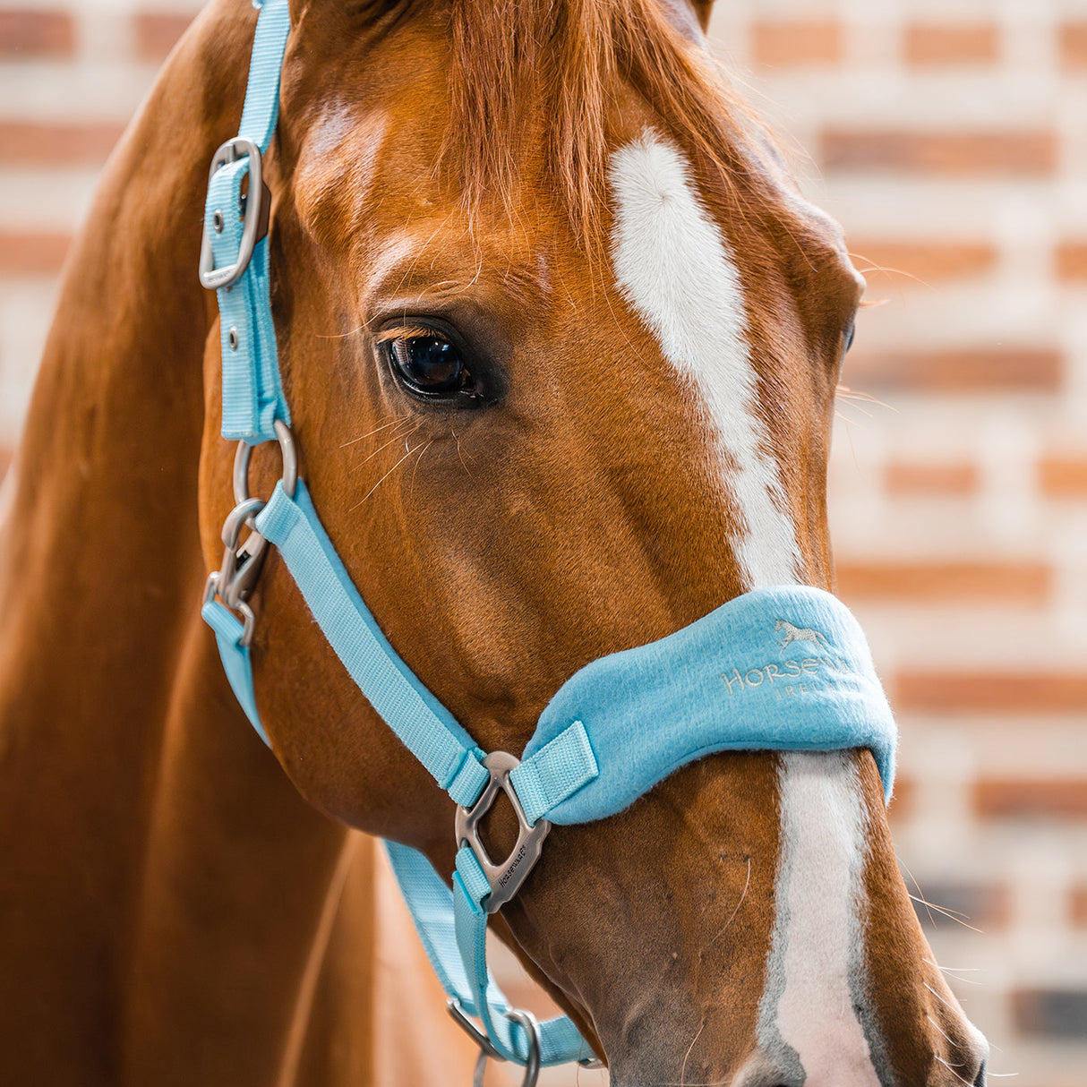 Horseware Signature Grooming Halter