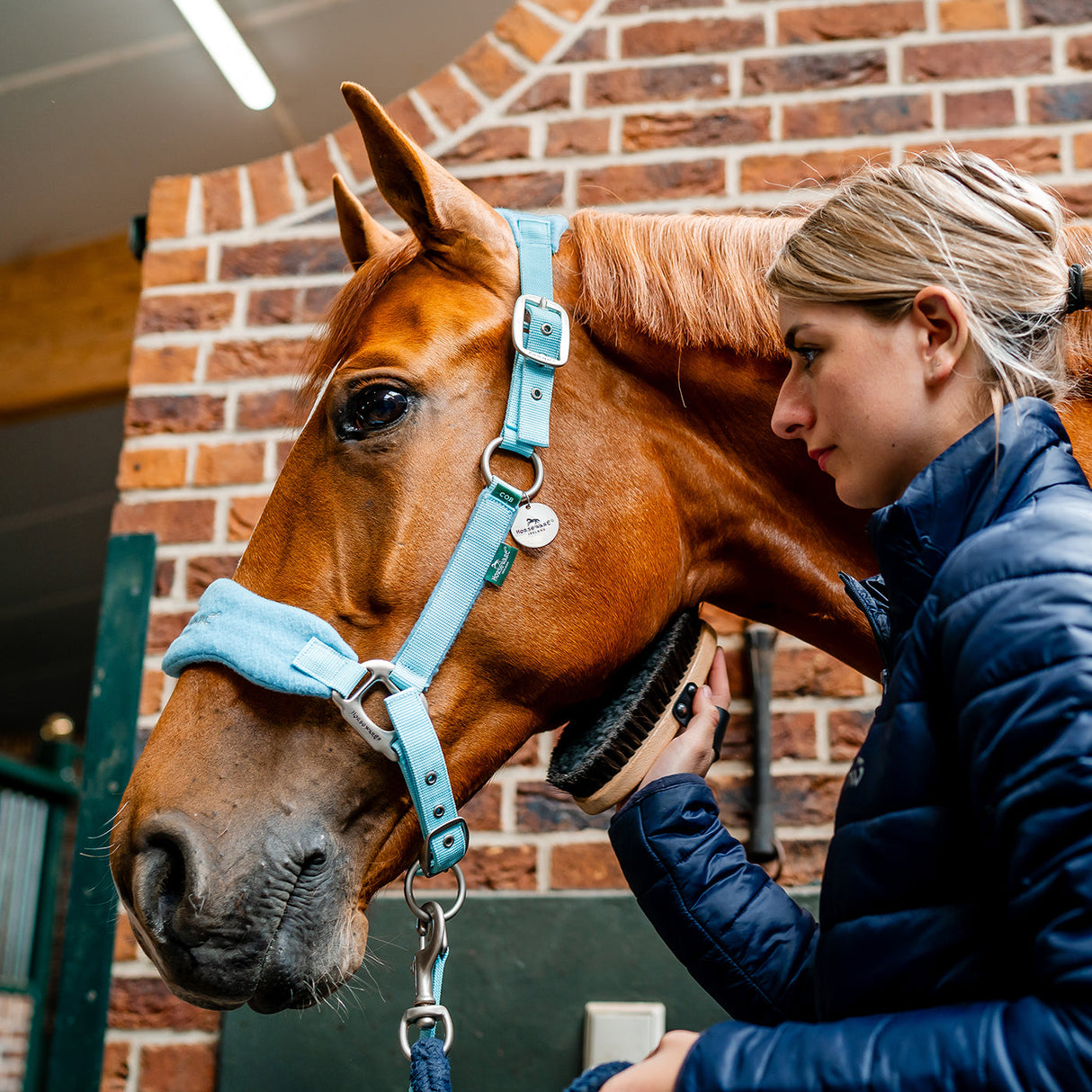 Horseware Signature Grooming Halter