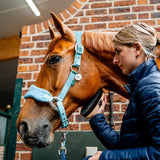 Horseware Signature Grooming Halter