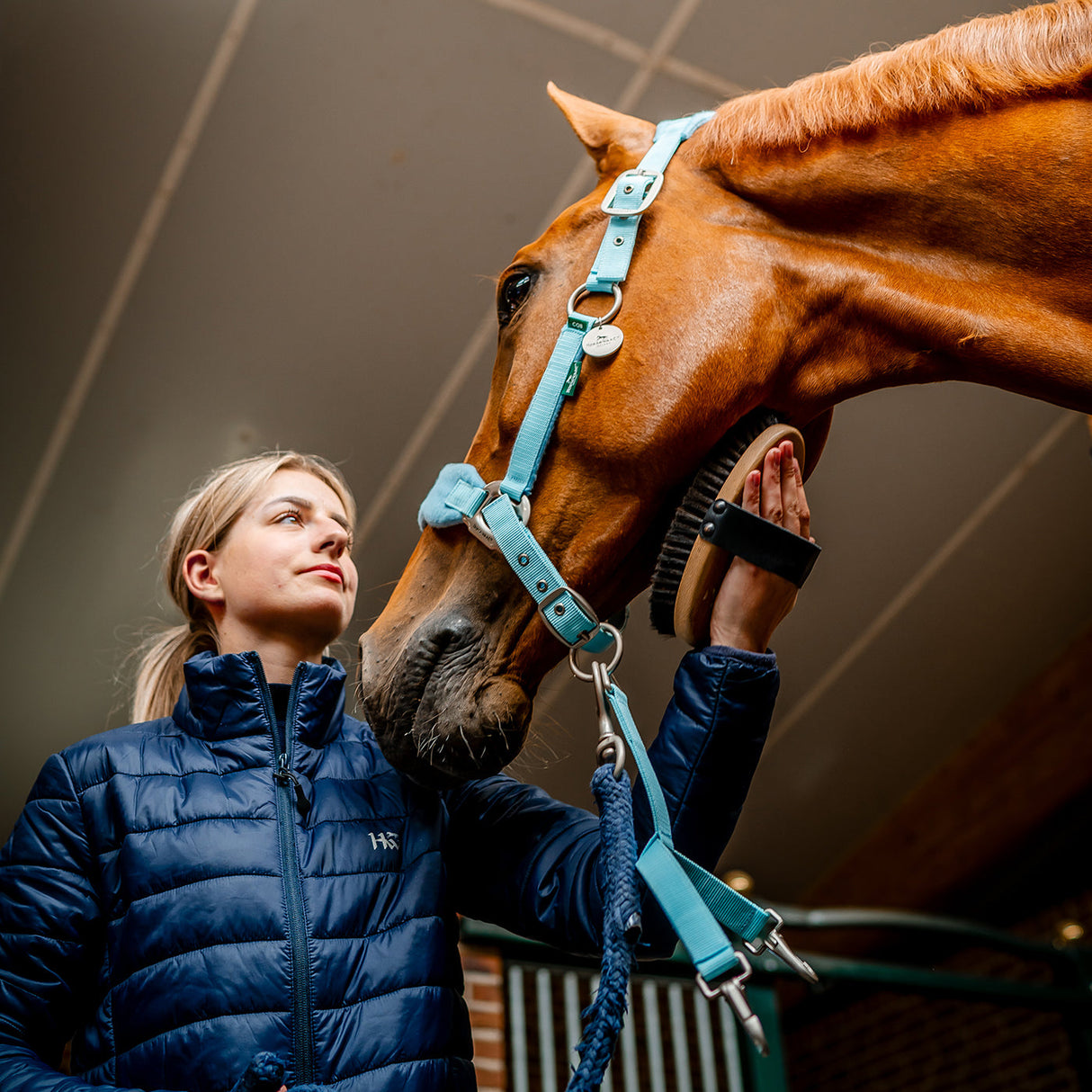 Horseware Signature Grooming Halter