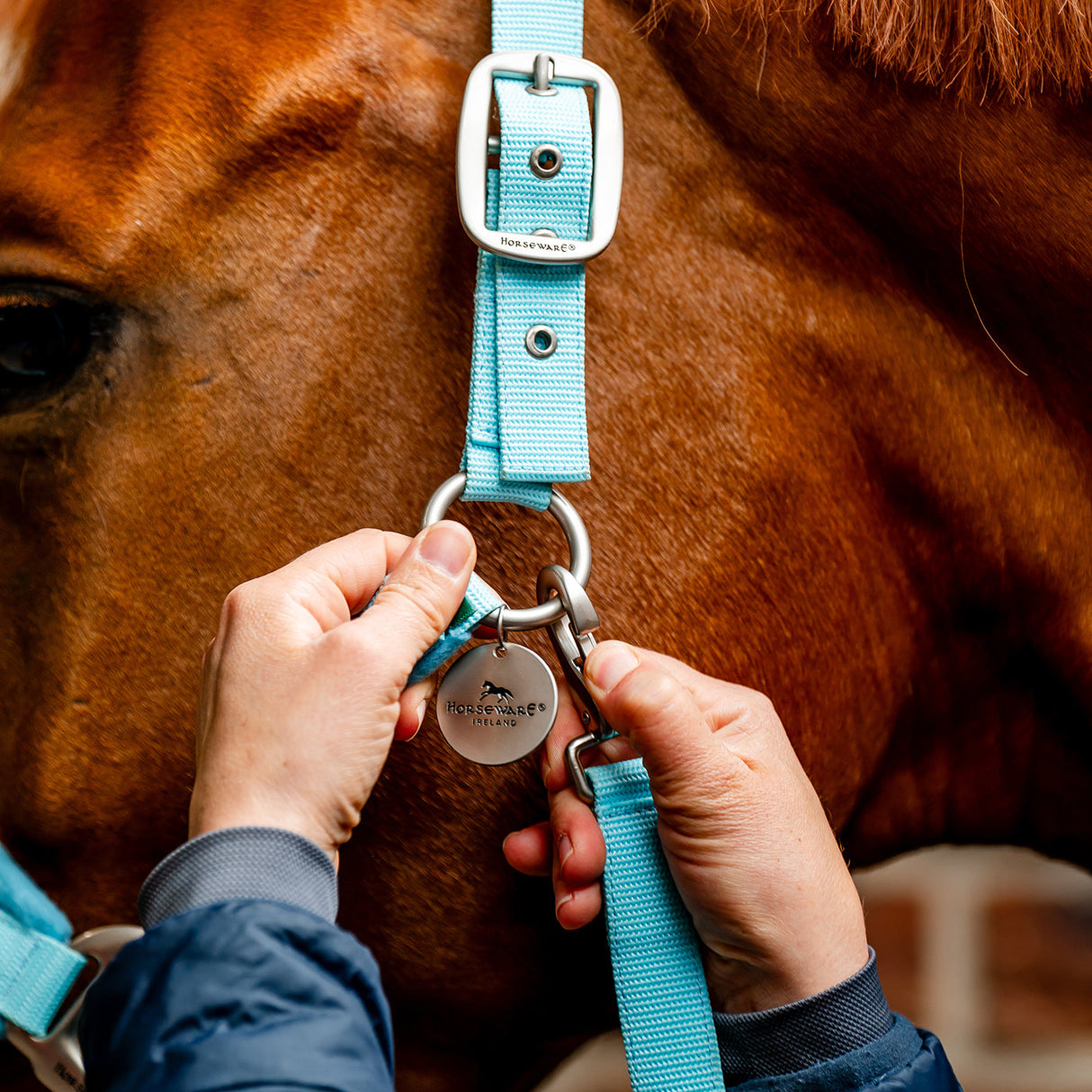 Horseware Signature Grooming Halter
