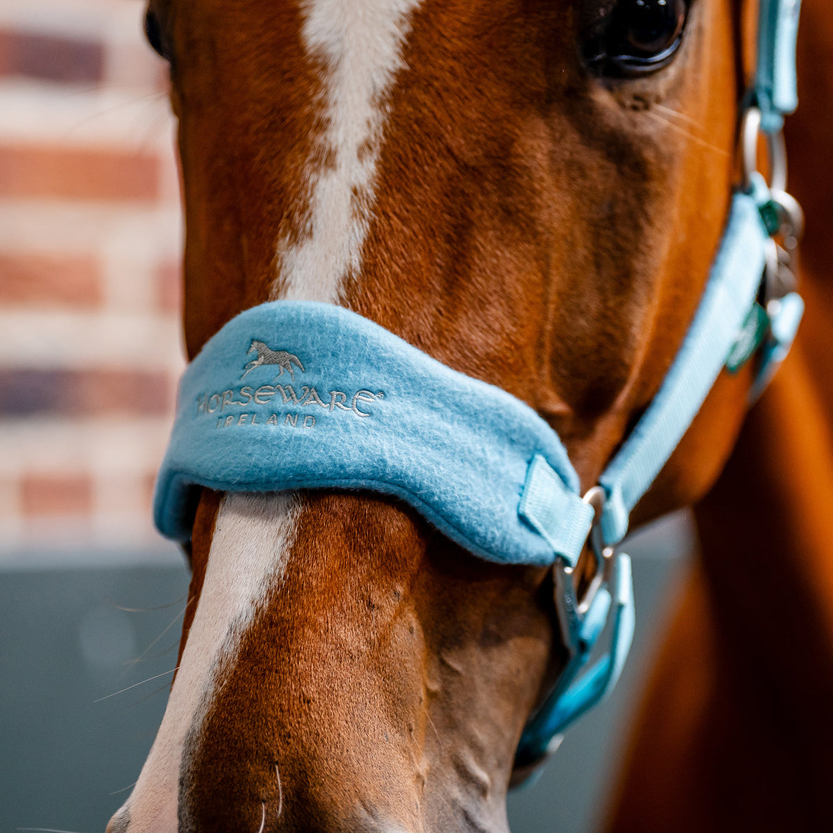 Horseware Signature Grooming Halter