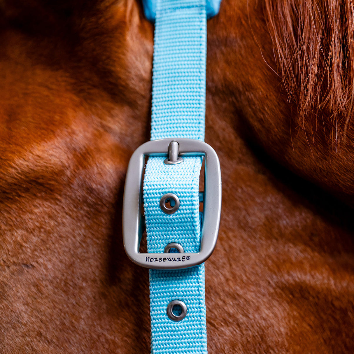 Horseware Signature Grooming Halter