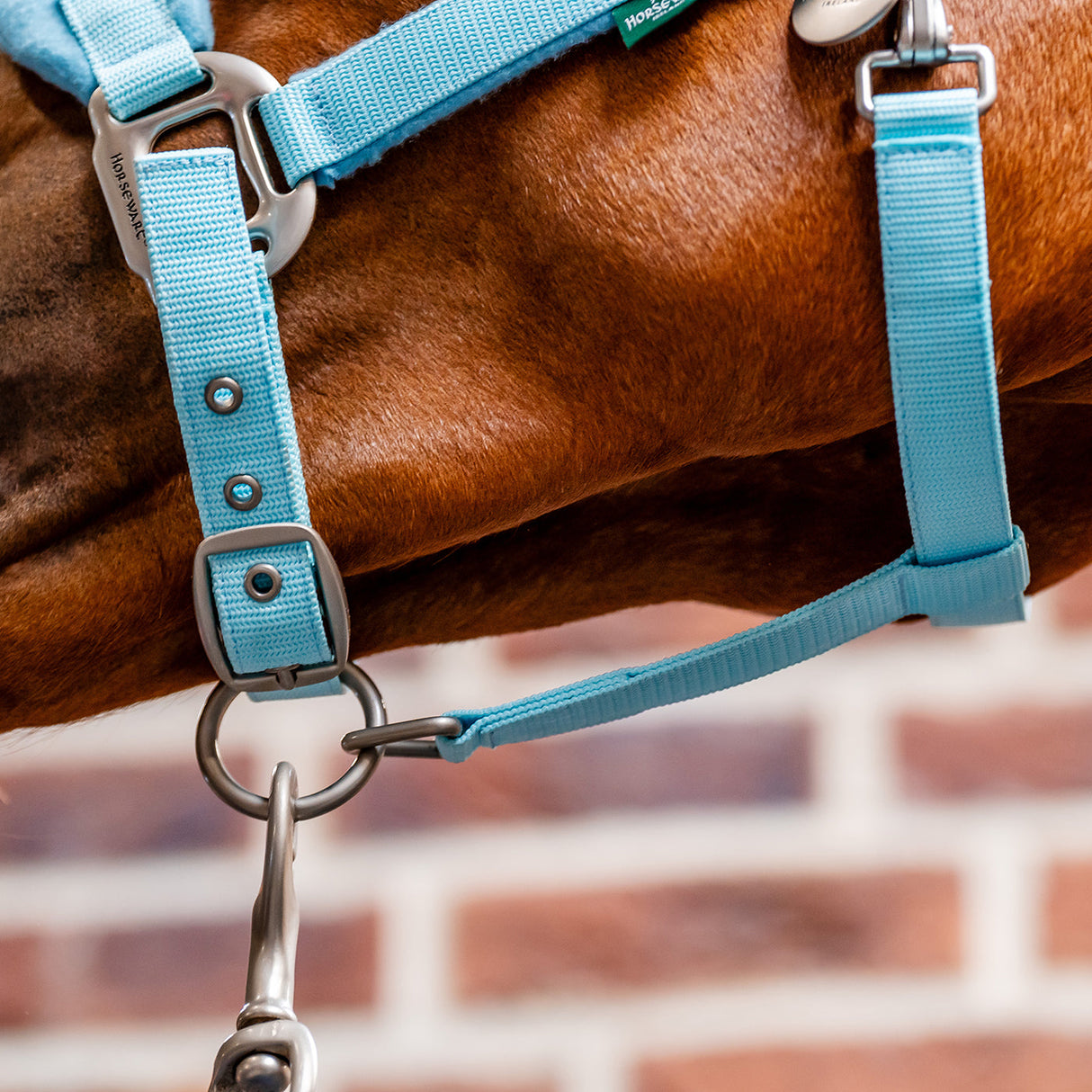 Horseware Signature Grooming Halter
