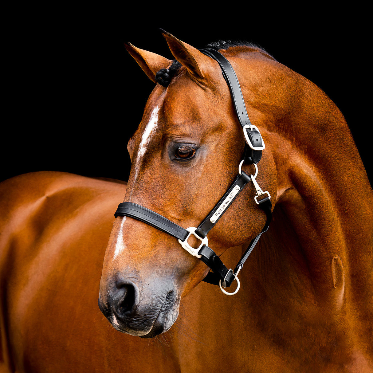 Horseware Signature Leather Halter