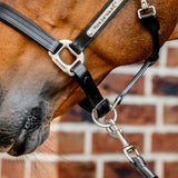 Horseware Signature Leather Halter