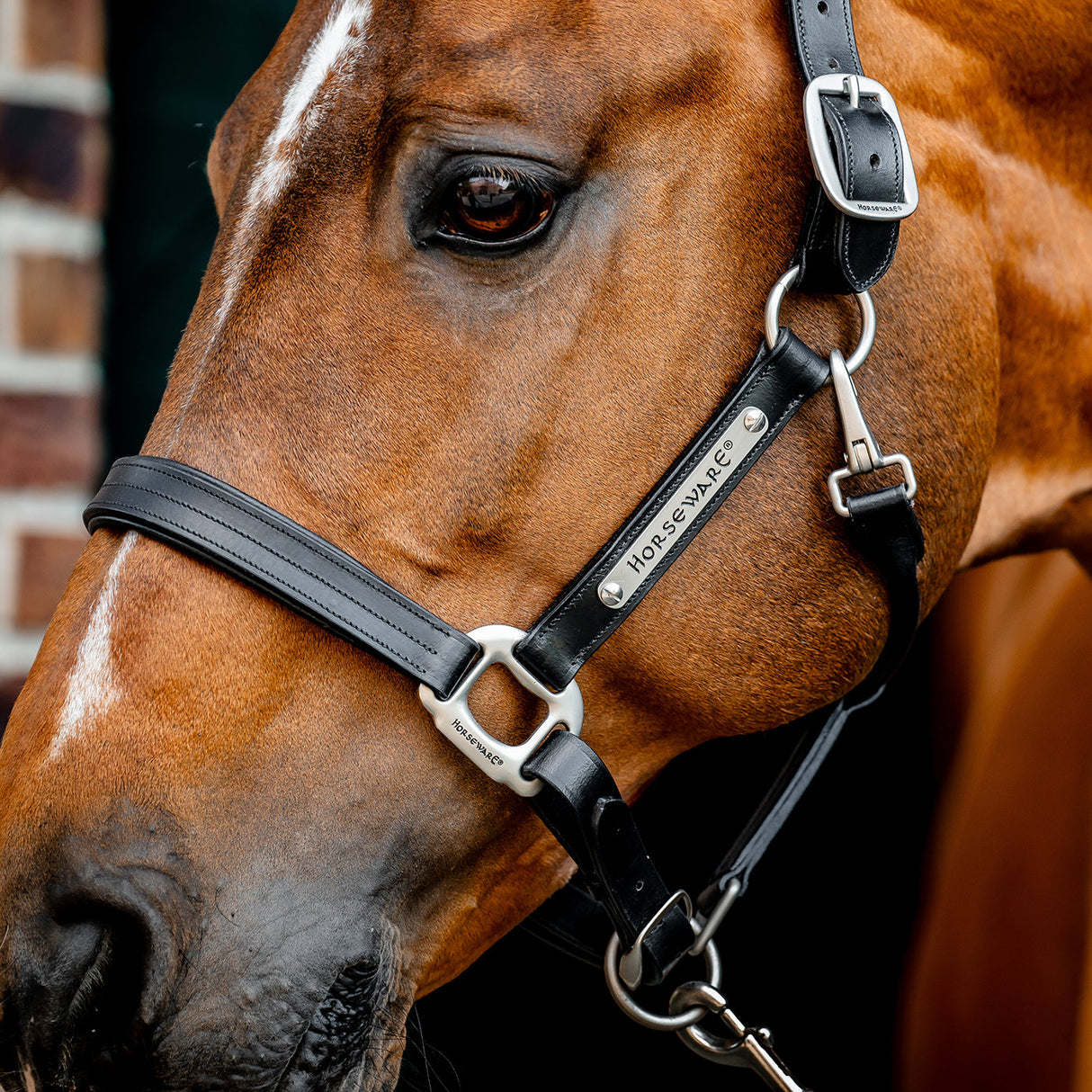 Horseware Signature Leather Halter