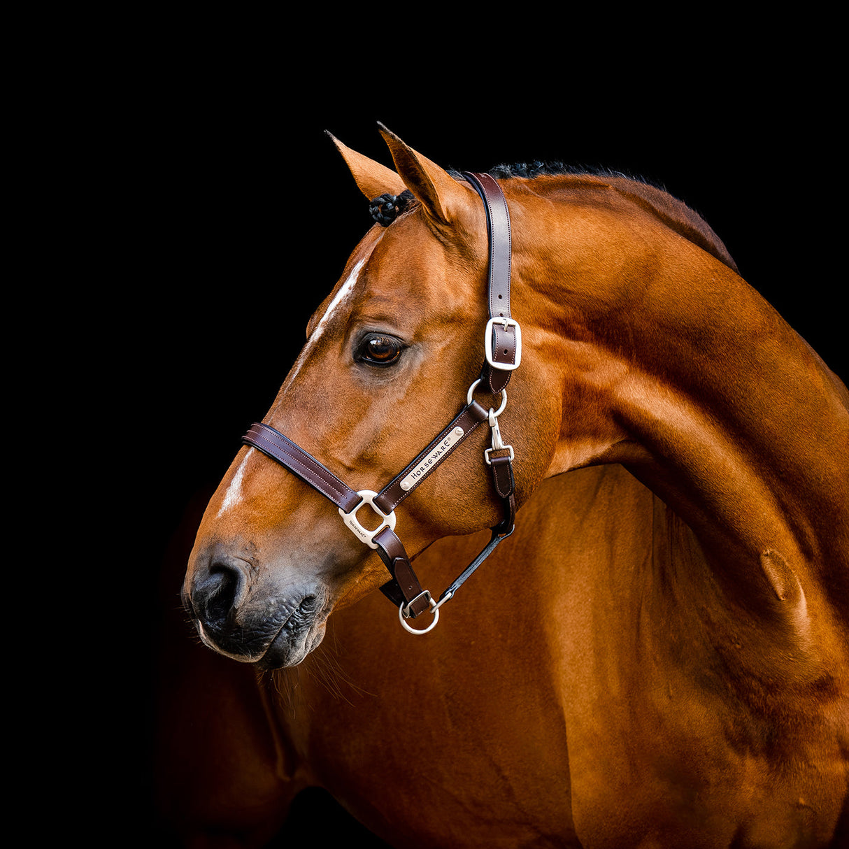 Horseware Signature Leather Halter