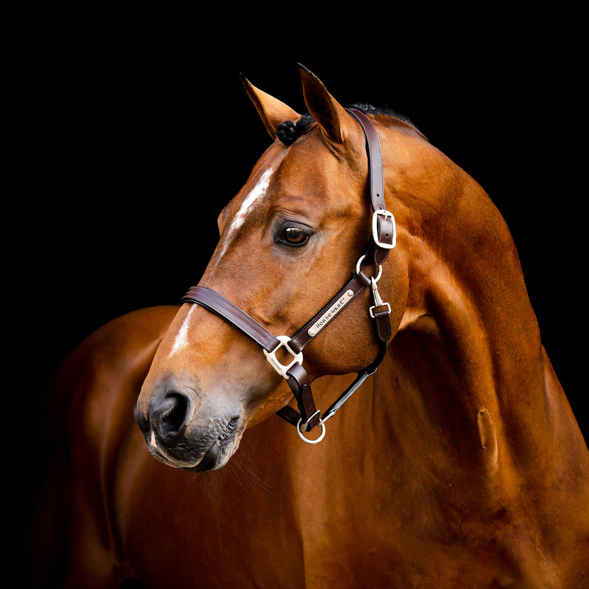 Horseware Signature Leather Halter
