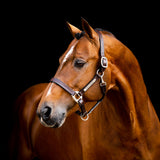 Horseware Signature Leather Halter