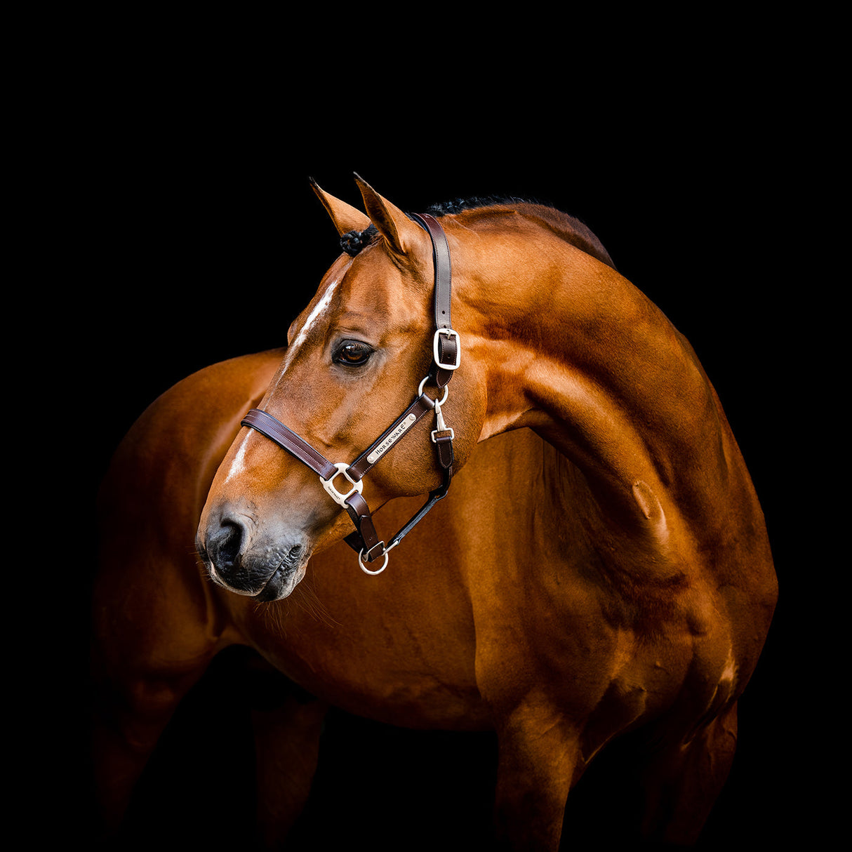 Horseware Signature Leather Halter