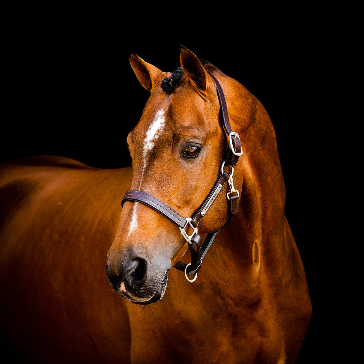 Horseware Signature Leather Halter