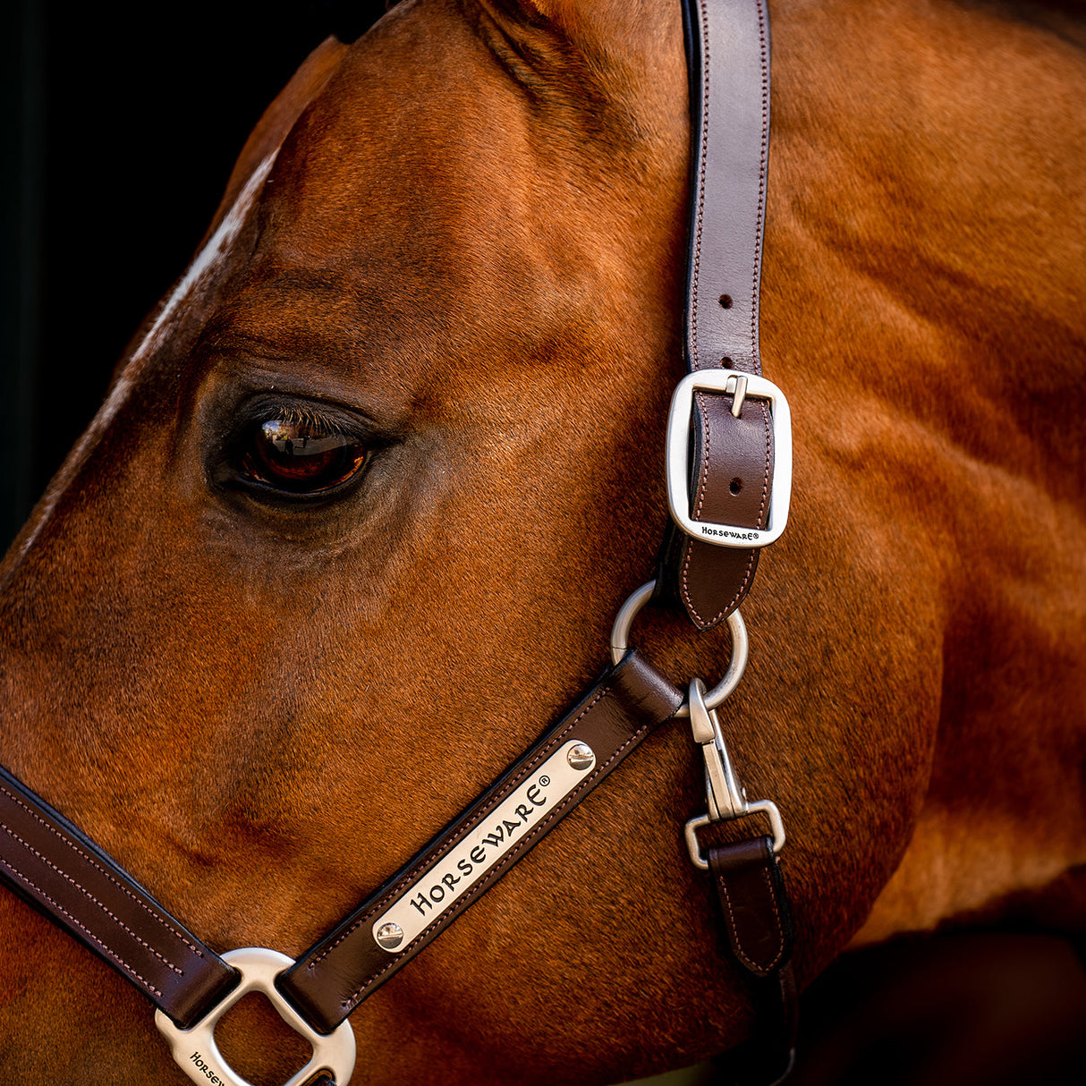 Horseware Signature Leather Halter
