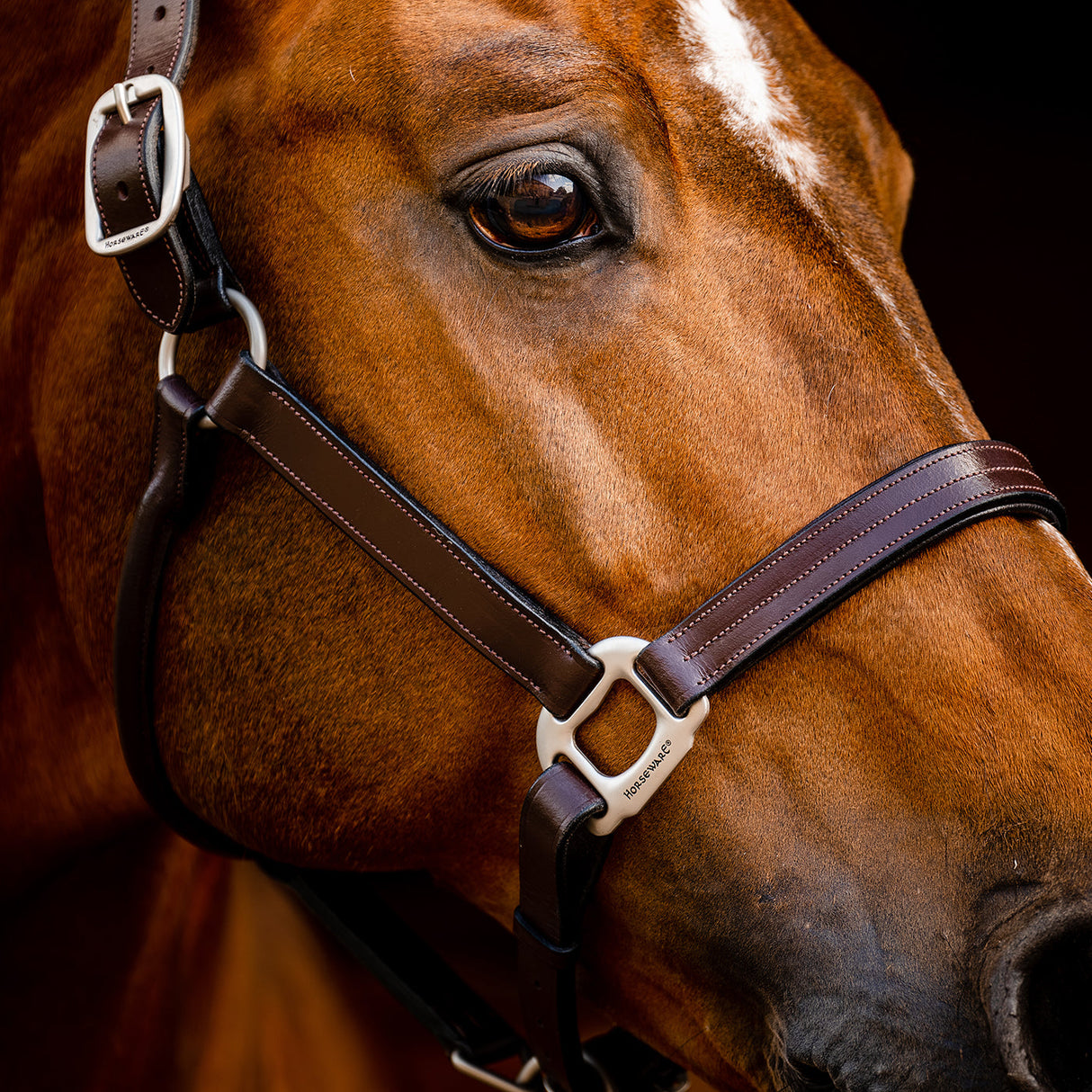 Horseware Signature Leather Halter