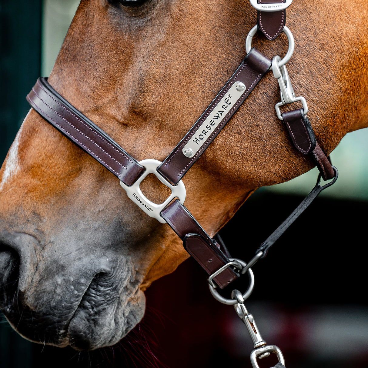 Horseware Signature Leather Halter
